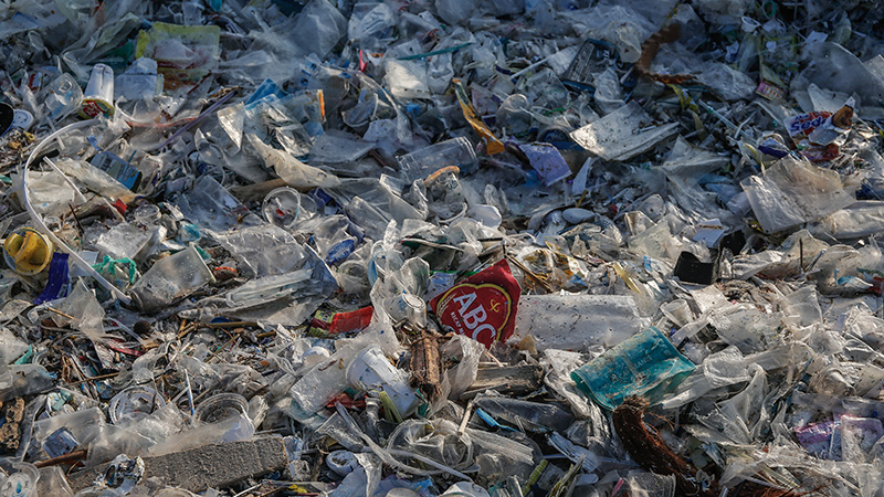 Harmful “Forever Chemicals” Found in 95% of US Beers