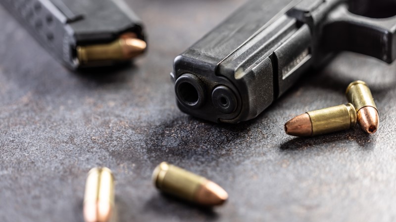 CNN Panelist: Next Democrat President Could Deploy Military Door-To-Door to Confiscate Guns From Law-Abiding Americans