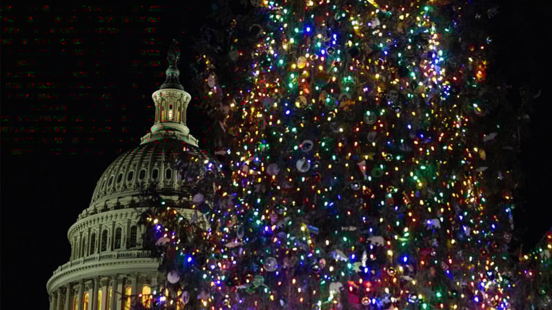 Special Christmas Eve War Room! FBI Finds Millions More Epstein Docs, PLUS…Updates on Trump’s Golden Age, Right-Wing Civil War Over Charlie Kirk Death Probe, Israel Support & More! TUNE IN & SHARE THIS INFORMATIVE BROADCAST!