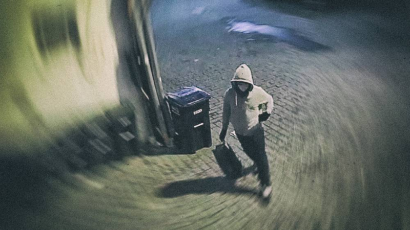 Ex-Capitol Hill Police Officer Suspected Of Planting J6 Pipe Bombs FAILED Polygraph Test When FBI Asked If She Placed The Explosives