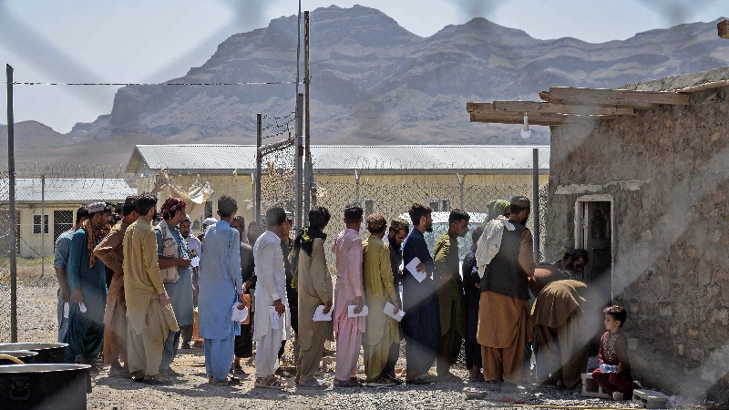 German Taxpayer ‘Milk Cows’ Fund Accommodation for Afghans—in Pakistan