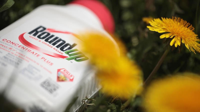 Glyphosate Detected in Tampons at 40x Safe Drinking Water Limit