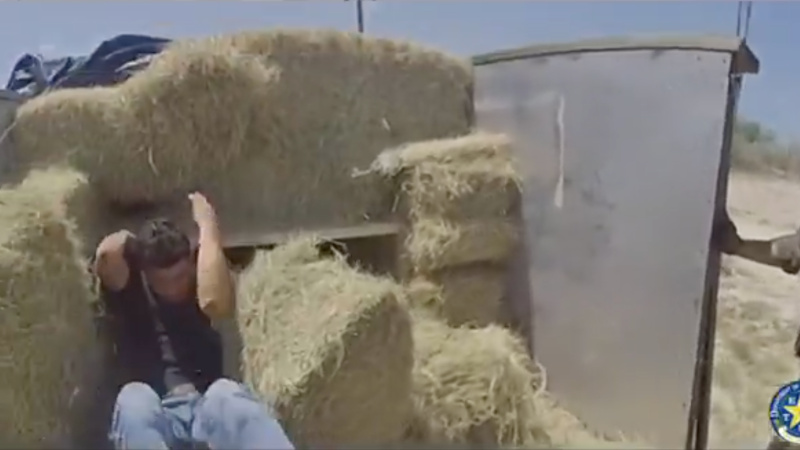 WATCH: Suspect Busted Smuggling Illegals Under Hay Bales