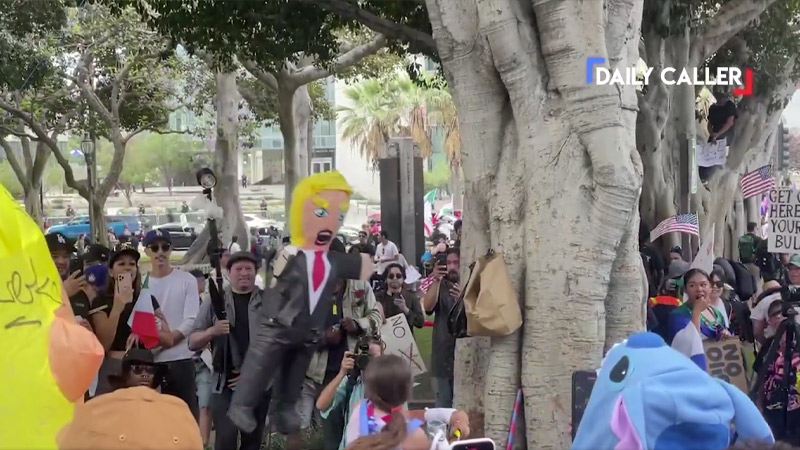 Video: Children Beat Trump Piñata at ‘No Kings’ Protest