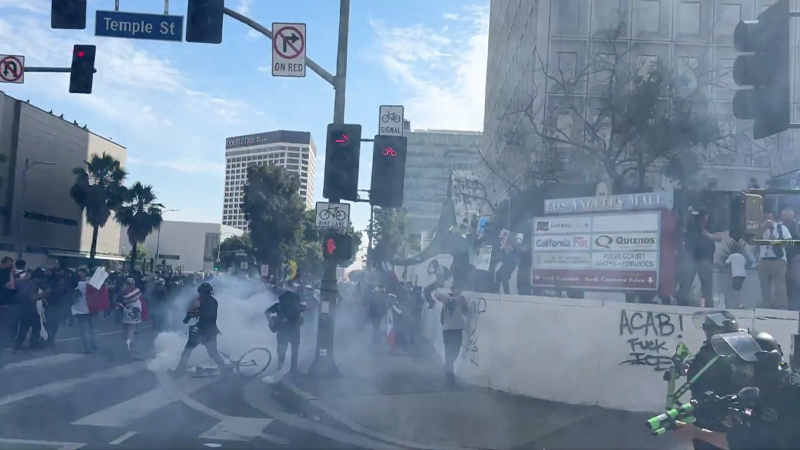 Police Deploy Tear Gas on Unruly ‘No Kings’ Anti-ICE Rioters in Los Angeles