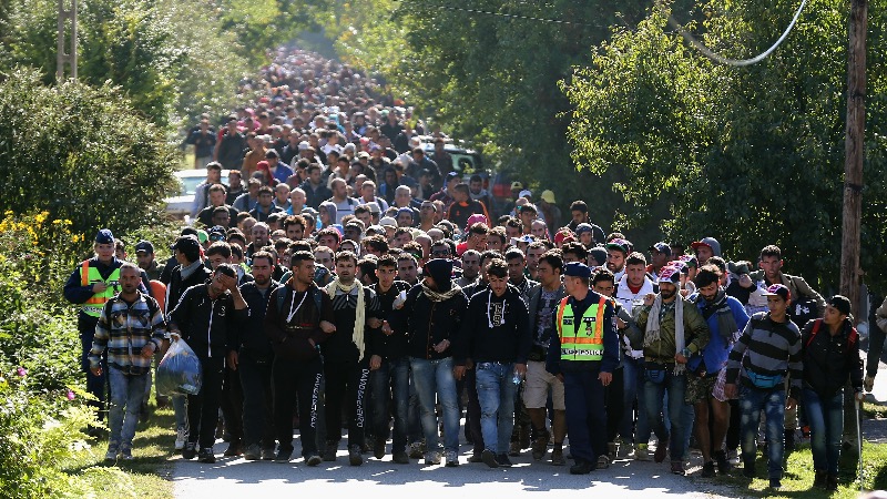 Vaginal Traps Instead of Migration Policy: Germany’s Latest Absurdity