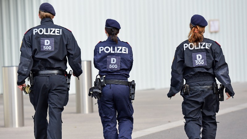 “The Whole of Vienna is Shocked” – More Reports of Sexual Assaults on Underage Girls in German And Austrian Swimming Pools