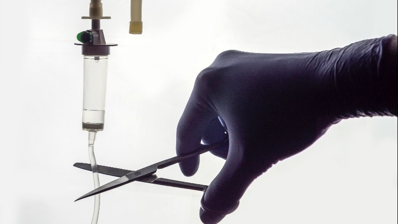 517 People Were Euthanized Against Their Will in The Netherlands in 2021