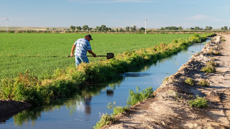 Trump Open To Allowing Deportation Exemptions for Farm Workers and Others