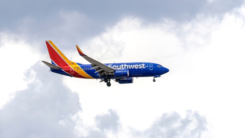Flight Attendants Injured as Plane Nosedives To Avoid Mid-air Collision over LA