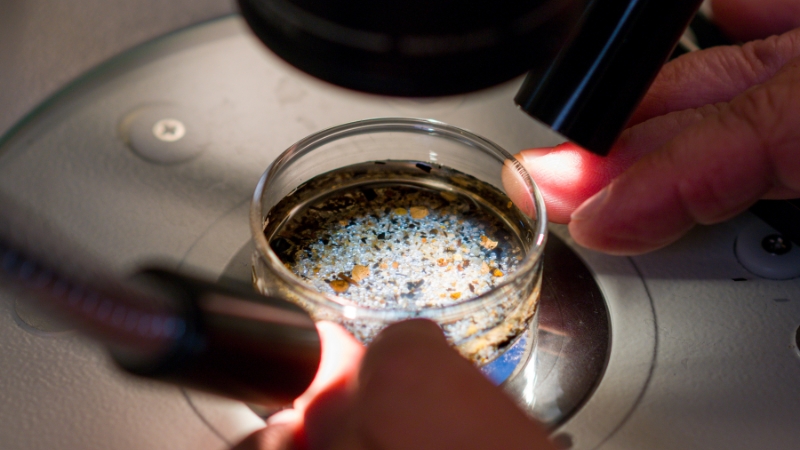 Microplastics Discovered in Human Reproductive Fluids