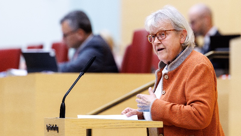 Germany: AfD MP in Court for Posting Video of Protester’s Nazi Salute
