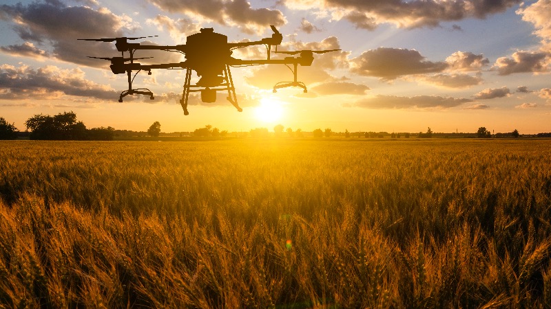 Western Agribusiness Companies Are Colonizing Ukraine, Says Hungarian News Portal Western Agribusiness Companies Are Colonizing Ukraine, Says Hungarian News Portal