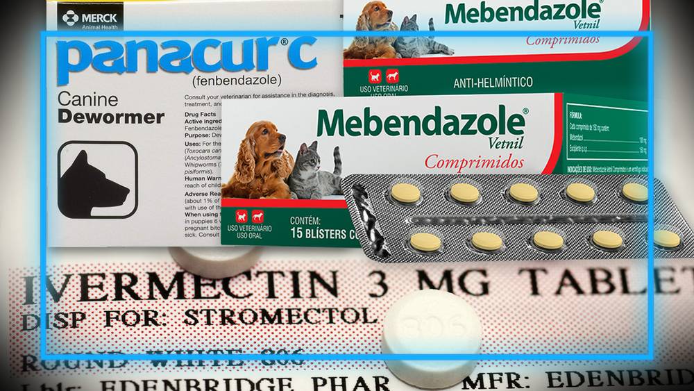 Renowned Oncologist / Cancer Doctor William Makis Exposes The Truth About The Powerful & Inexpensive Anti-Cancer Drugs Ivermectin, Fenbendazole, & Mebendazole