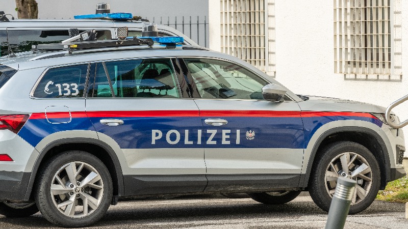 Alien Youths In Austria Accused Of Raping A Teacher, Burning Her House Down & Beheading A Dead Animal