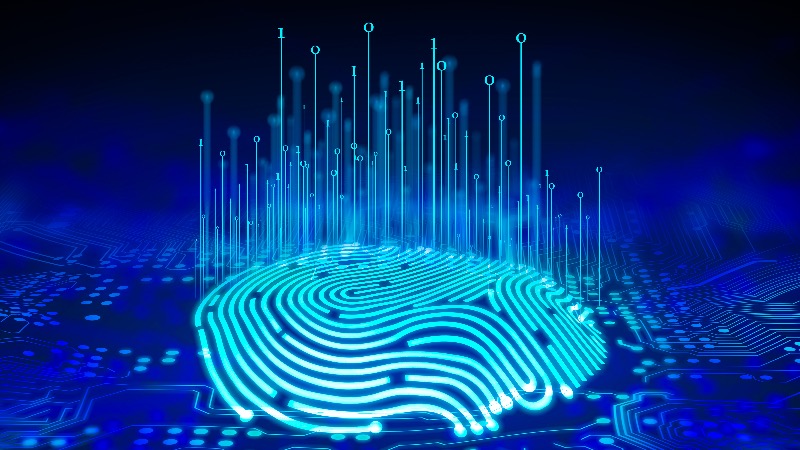 Nigeria’s Data Breach Allegations Expose Risks Of Centralized Digital ID Systems