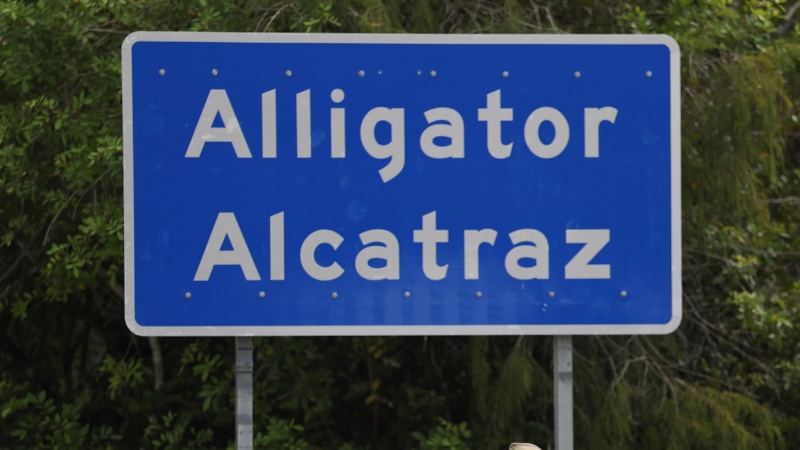 “This Is Not Going To Deter US,” DeSantis Vows over Legal Attempt To Shutter “Alligator Alcatraz”