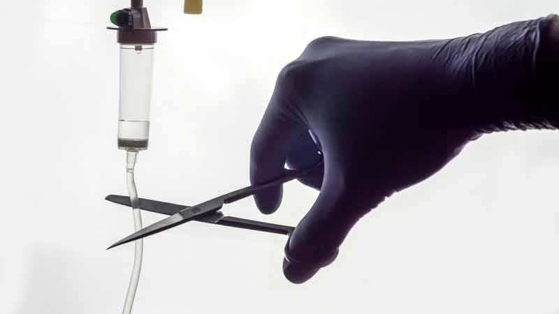 Cottage Industry Pops Up to Service Soaring Government-Assisted Suicide Demand