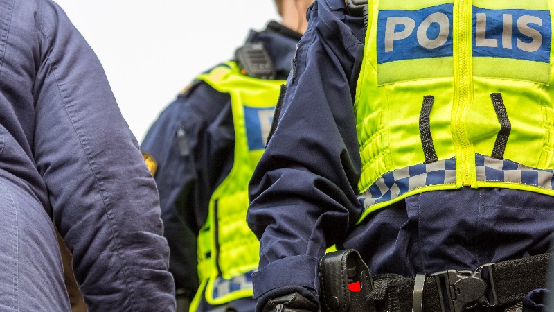 8-Year-Old Swedish Boy Forced To Strip Naked By Somali Alien Who Said Victim ‘Looked Like A Racist’