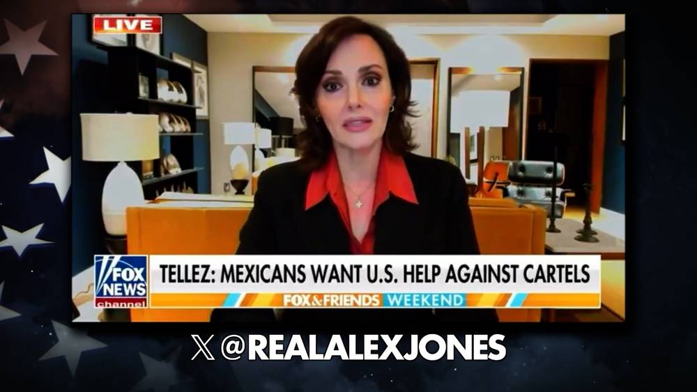 BREAKING VIDEO: Mexican Senator “Absolutely Welcomes” Help From The United States To Fight The Cartels, “And That Is How The Majority Of Mexicans Feel!”