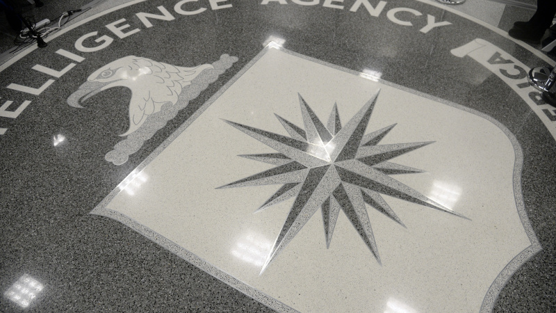 Top CIA Analyst Behind Russiagate Loses Her Job – Report