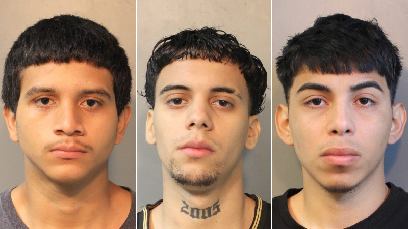 Three MS-13 Gangbangers Facing 14 Counts of Attempted Murder After Capture on Long Island