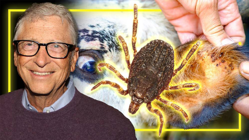 BREAKING: US Scientists – Funded By Bill Gates – Study Releasing Ticks Engineered To Deliver A “Vaccine” That Gives Humans A Violent Allergy To Eating Beef!