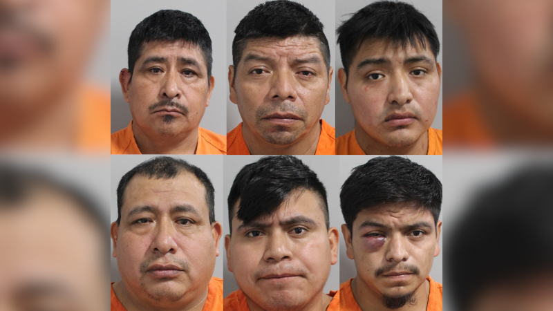 Six Illegals Arrested Following Fatal Hit-and-Run in Florida