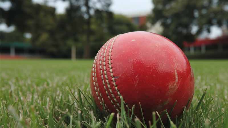 FIELD OF BROKEN DREAMS: Public Cricket Fields Spark Scandal in TX