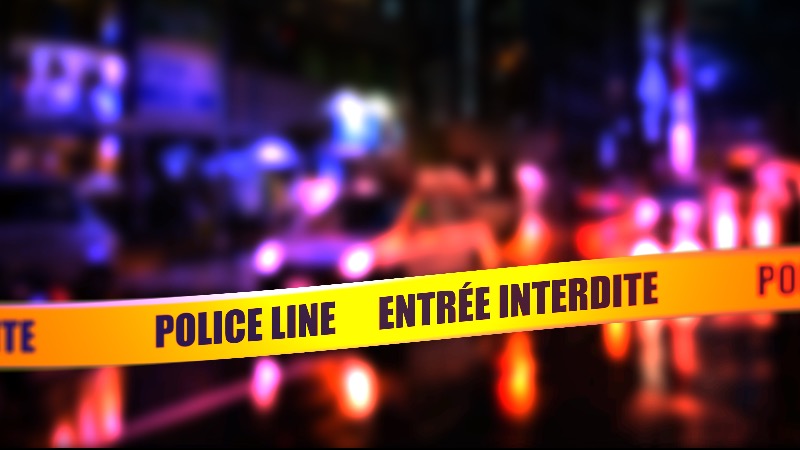 Pregnant French Woman Beaten To Death In Front Of Her Children By Her Senegalese Alien Husband