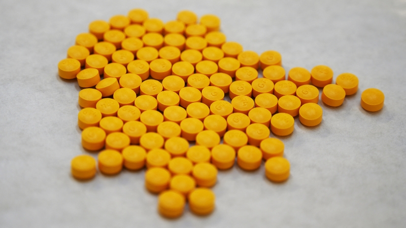 Largest Ever Seizure of Fentanyl Precursors Bound for the US