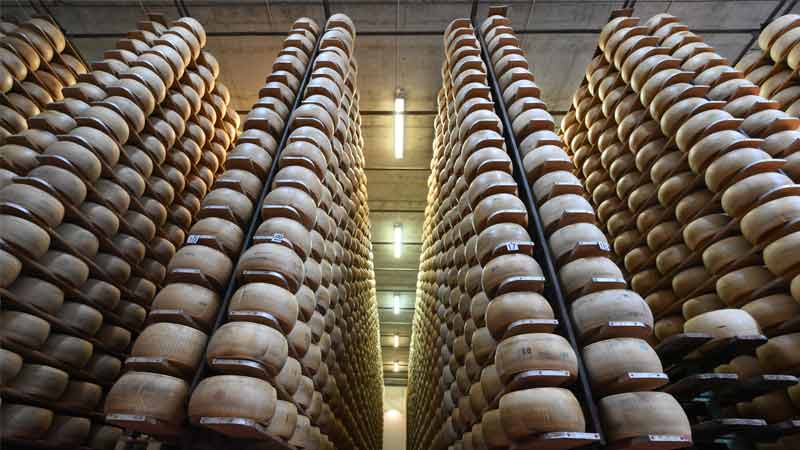 The Wheels of Government Cheese