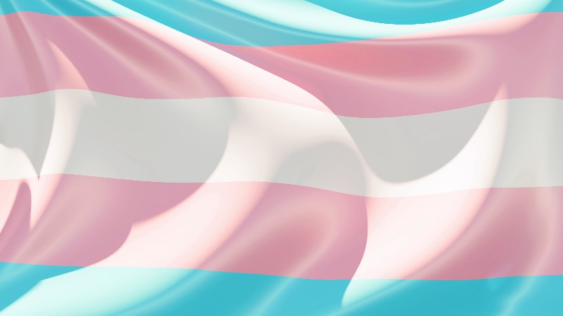 Christian Activist Reported For Hate Crime In Spain After Calling Miss Trans 2025 “Sir”