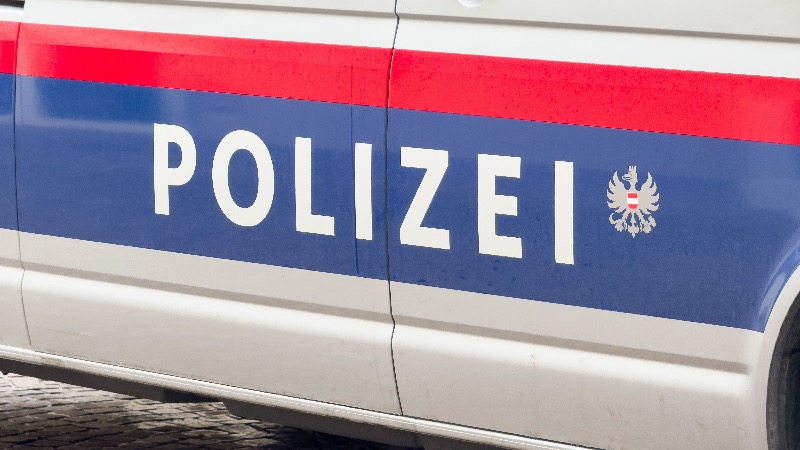 2 Brothers With Serbian Roots Have Incredible 2,200 Reported Criminal Offenses In Austria, Lead Juvenile Offenders In The Country