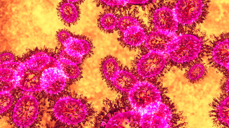 NIAID Director Holds Patent for Bird Flu Pandemic Vaccine—as His Agency Creates Frankenstein Bird Flu Viruses in the Lab