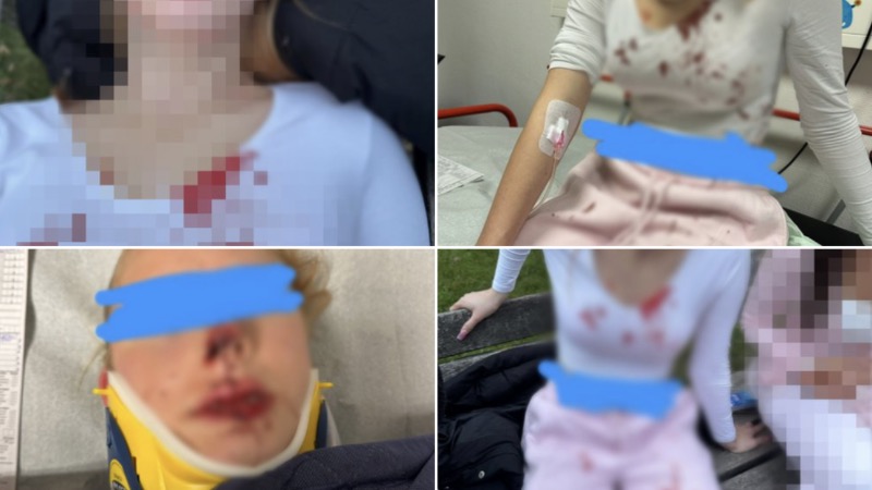 Young Teen Reportedly Beaten By Girl With Alien Background In Germany, But Police Seize Mother’s Phone When She Filed A Complaint