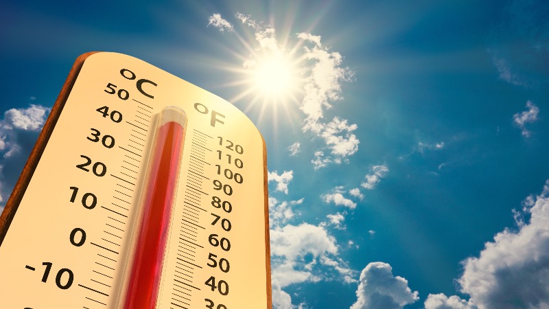 2-Year-Old Girl Dies In Hot Car After Father Forgets About Her To Watch Pornography