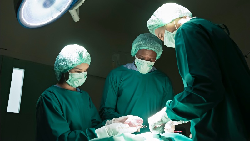 Study Promotes Liver Transplants From Canadian Euthanasia Victims Study Promotes Liver Transplants From Canadian Euthanasia Victims