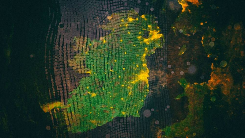 Special Report: Ireland On The Brink Of Collapse