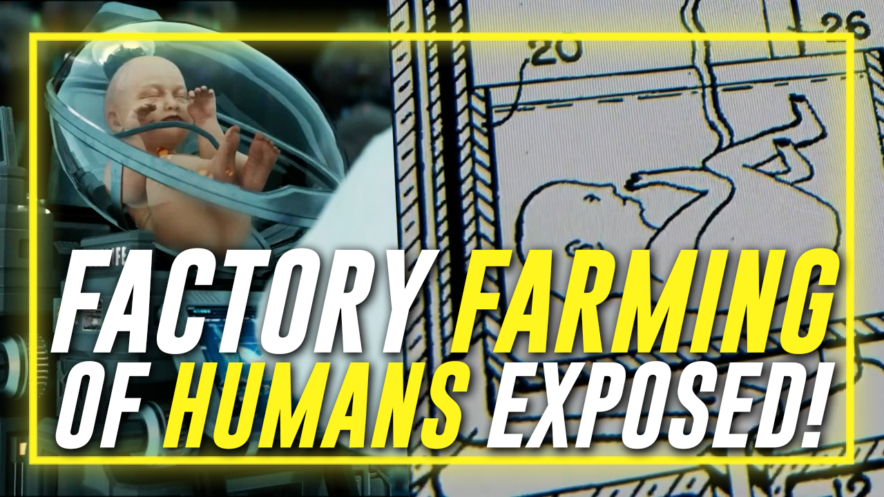 FULL INTERVIEW: Leading Expert On Surrogate Births Exposes The Factory Farming Of Humans Which Is A $200 Billon Global Industry Driven By Pedophiles! 