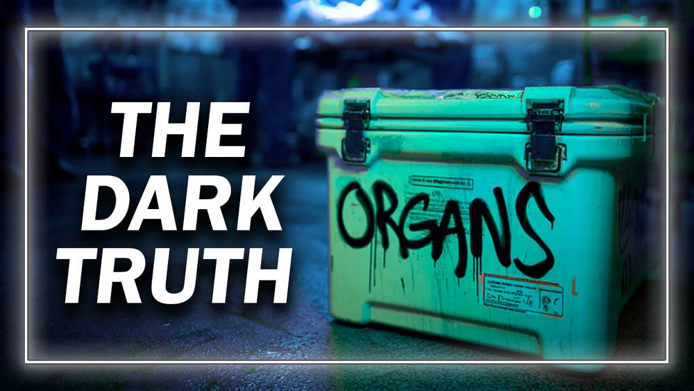 Nightmare Bombshell: The Democratic Party Aided and Abetted Mexican Drug Cartels in the Kidnapping of Women, Children, and Babies for Organ Harvesting During the Biden Administration