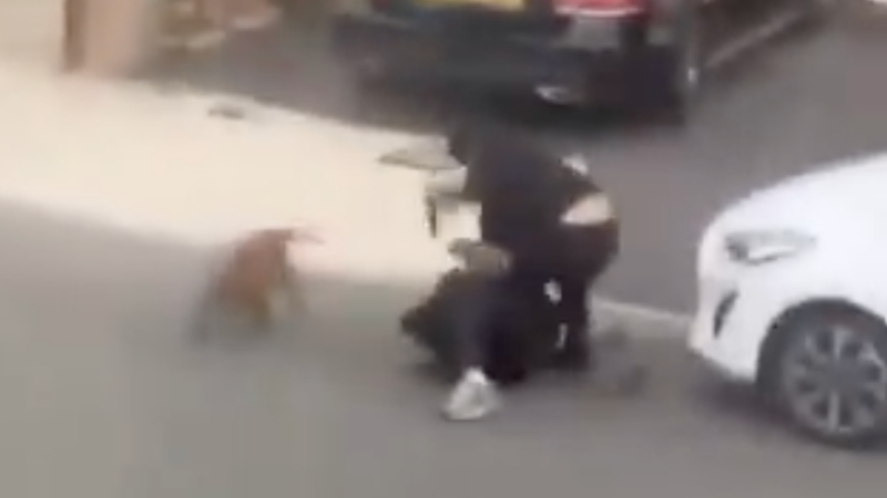 London Police Demand Citizens Stop Sharing Video of Afghan Migrant Stabbing Dog-Walking Man to Death London Police Demand Citizens Stop Sharing Video of Afghan Migrant Stabbing Dog-Walking Man to Death