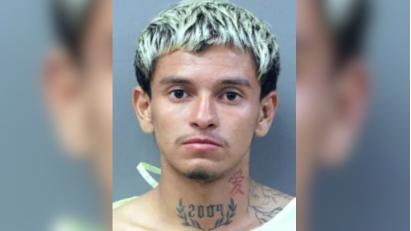 Woman Brutally Raped by Biden Illegal in Sanctuary Chicago – DHS