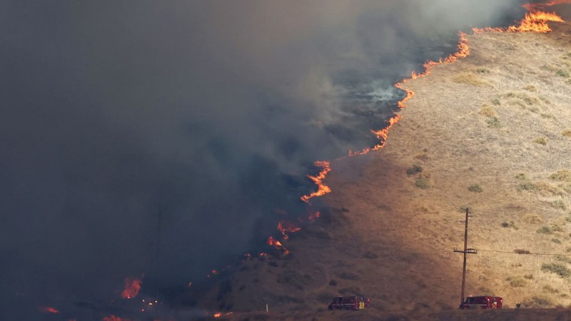 Arson Suspect Arrested In Connection To Deadly Palisades Fire – Patsy Or Pyro?