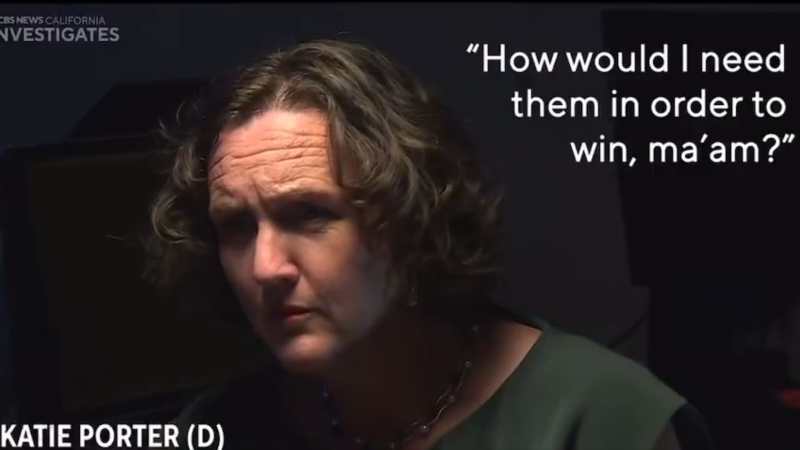 Watch: Democrat Frontrunner In California Governor Race Suffers Political Disaster After Going Off The Deep End During Interview