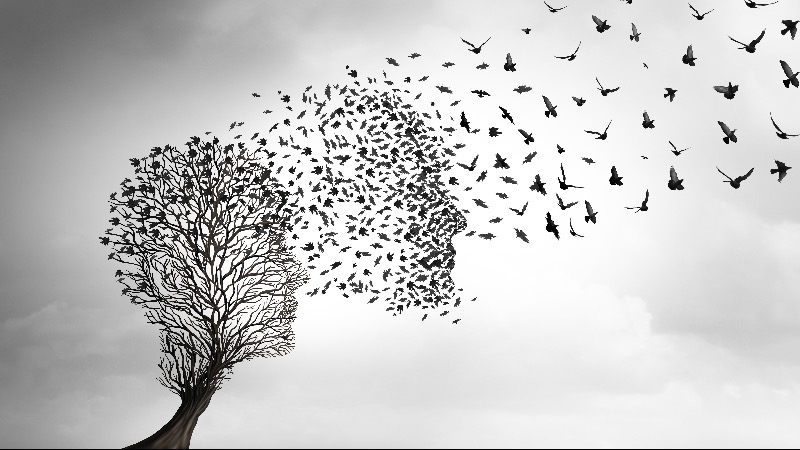 Canadian Government Has Spent More Than .5 Million Euthanizing People Since 2016