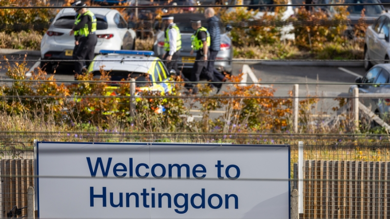 Nasty, British and Short: The UK Government Has Unleashed a War of All Against All on Its Own People