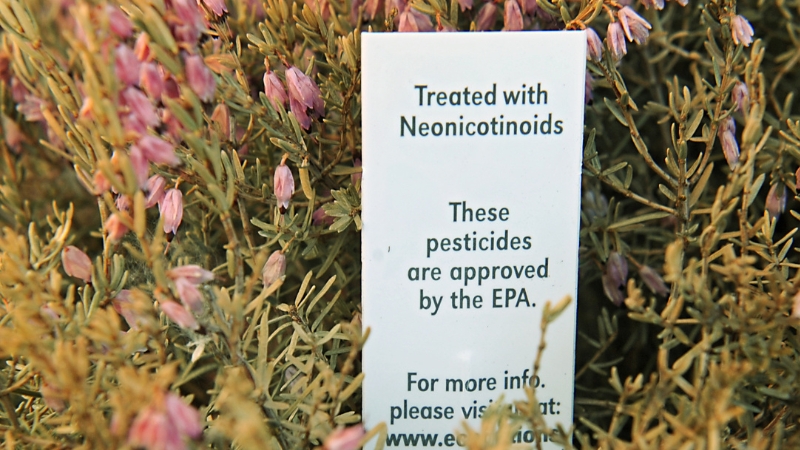 Common Pesticides Linked to Falling Sperm Counts