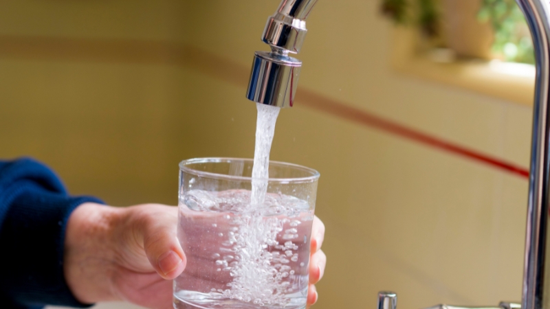 Prenatal Exposure to Harmful “Forever Chemicals” Linked to Changes in Structure of Children’s Brains