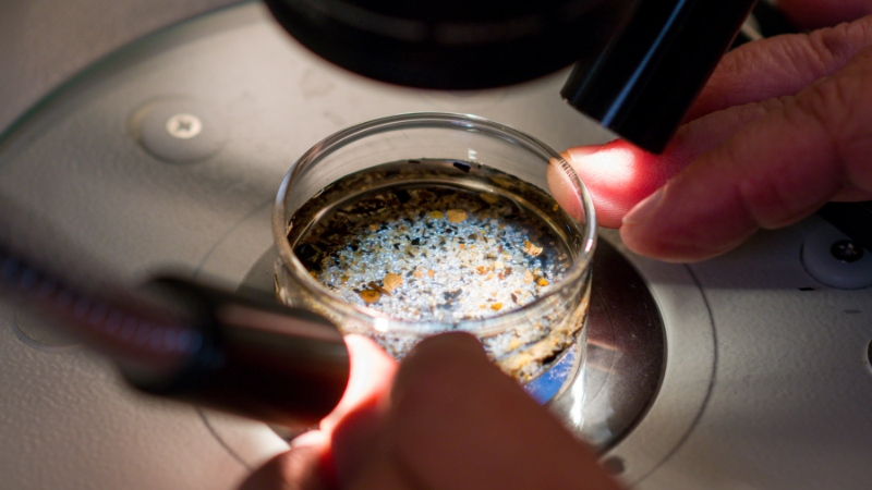 Heart of the Matter: Why Microplastics, not Cholesterol in the Diet, May Be Driving Heart Disease